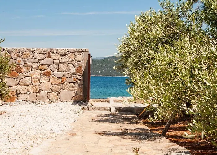 Ivan Apartament Drvenik Mali